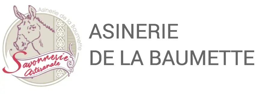 Logo la baumette png